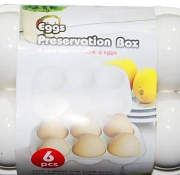 Double Layer All n One Egg Storage Box-Food Storage Box-Vegetable Storage Basket-24 Grd Egg Holder.jpg