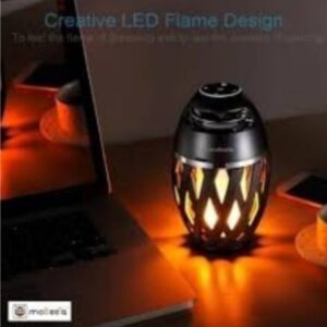 Flame Atmosphere Speaker  HD Led Flame Atmosphere Speaker Torch**.jpg