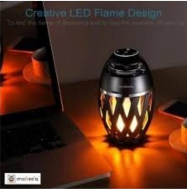 Flame Atmosphere Speaker  HD Led Flame Atmosphere Speaker Torch**.jpg