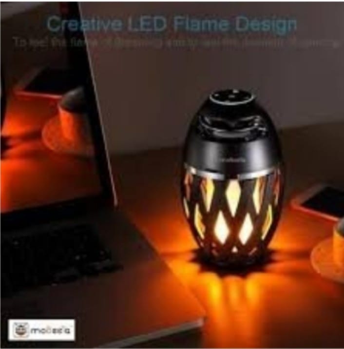 Flame Atmosphere Speaker  HD Led Flame Atmosphere Speaker Torch**.jpg